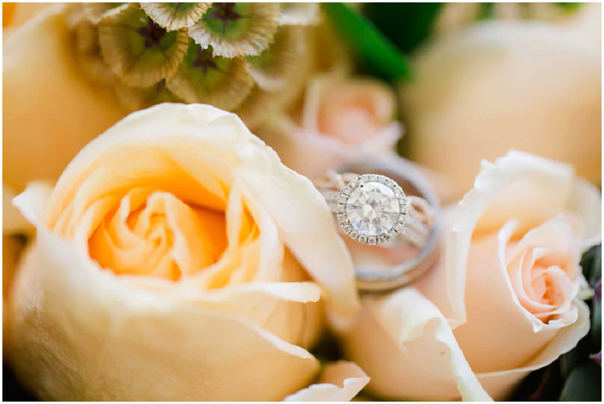 Cabo-Wedding-Photographer---Sara-Richardson_1221